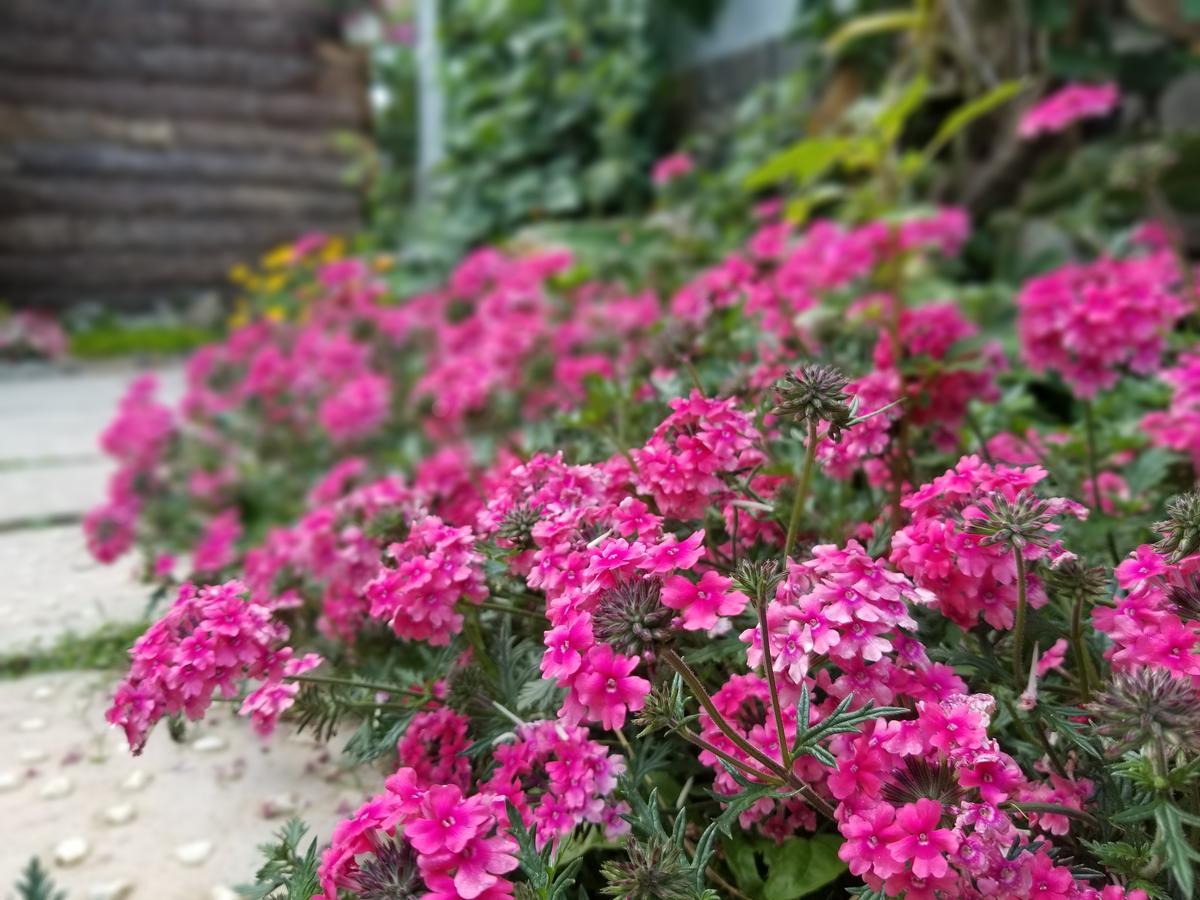 달랏 Ribe'S House 아파트 외부 사진